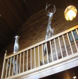 images/north_american_big_game/17taxidermy_20.jpg