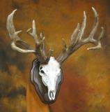 images/north_american_big_game/17taxidermy_21.jpg