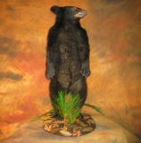 images/north_american_big_game/taxidermy_03.jpg