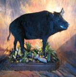 images/north_american_big_game/taxidermy_04.jpg