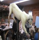 images/north_american_big_game/taxidermy_07.jpg