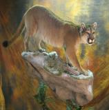 images/north_american_big_game/taxidermy_10.jpg