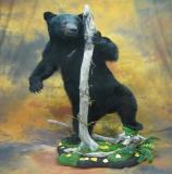 images/north_american_big_game/taxidermy_26.jpg