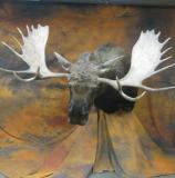 images/north_american_big_game/taxidermy_48.jpg