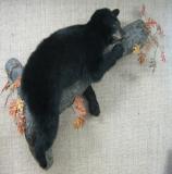 images/north_american_big_game/taxidermy_53.jpg