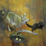 images/predators/taxidermy_15.jpg